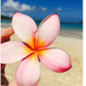 Meet your Posher, Molly